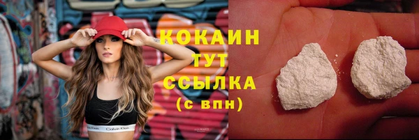 mdpv Гусев