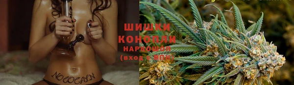 Альфа ПВП Гусиноозёрск