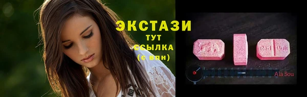 крисы Болотное