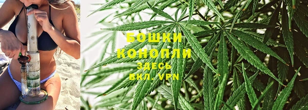 Альфа ПВП Гусиноозёрск