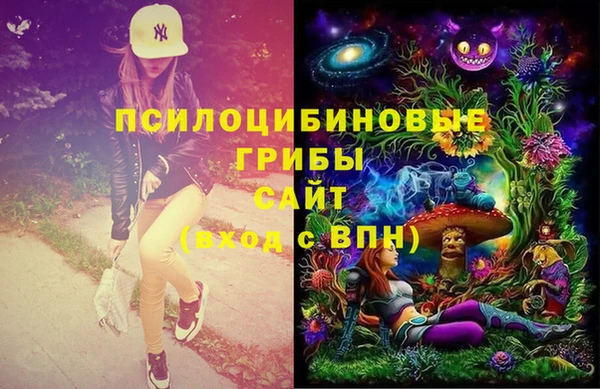 прущие крисы Болхов