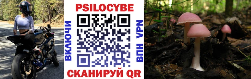 Галлюциногенные грибы Psilocybe MEGA ONION Ельня
