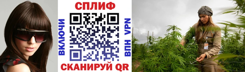 shop Telegram Ельня Канабис Amnesia даркнет сайт